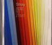 Link to more information on Stray - opens in a pop up window