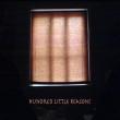 Link to more information on Hundred Little Reasons - opens in a pop up window