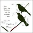 Link to more information on Twelves Trio - opens in a pop up window